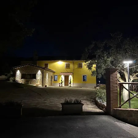 Paradiso *