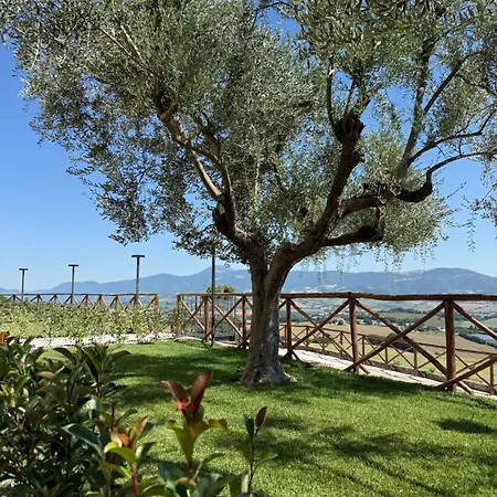Paradiso * Pioraco